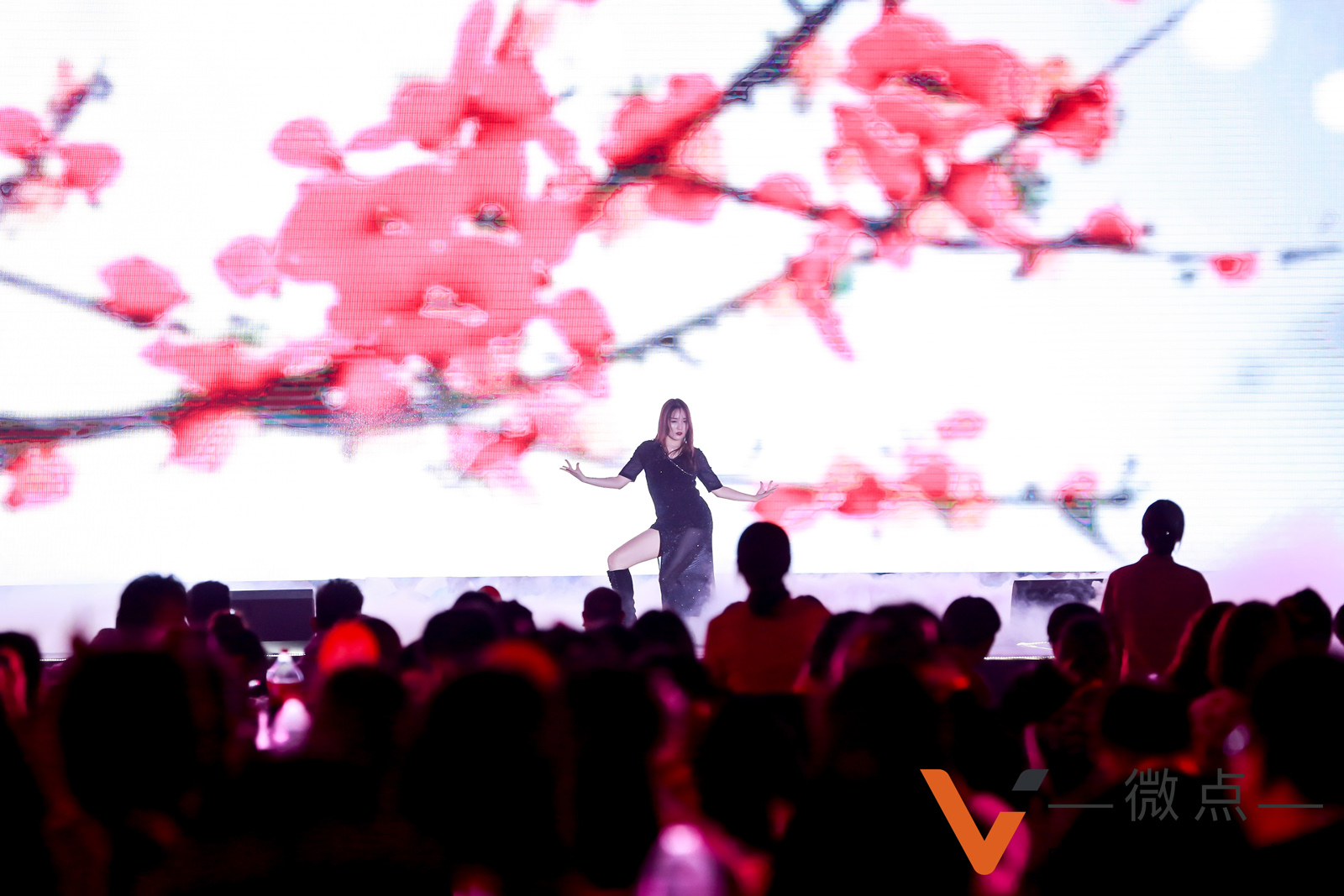 微點網絡公司年會性感熱舞表演